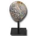 Agate Geode on Stand 022026