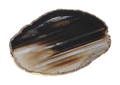 Agate Slice Polished Black With Gold Trim 626446