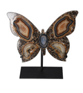 Agate Butterfly With Metal Base 628693