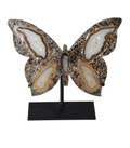 Agate Butterfly With Metal Base 628716