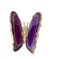 Agate Butterfly With Gold Trim 628808
