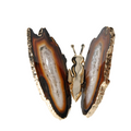 Agate Butterfly With Gold Trim 628976