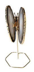 Agate Butterfly On Gold Metal Stand 629409