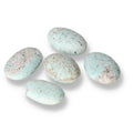 Amazonite Palmstone 556873